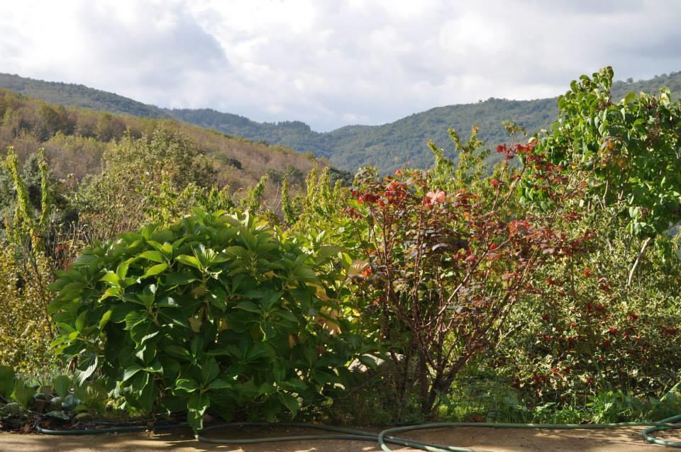 Mattale Vila Tonara Exterior foto